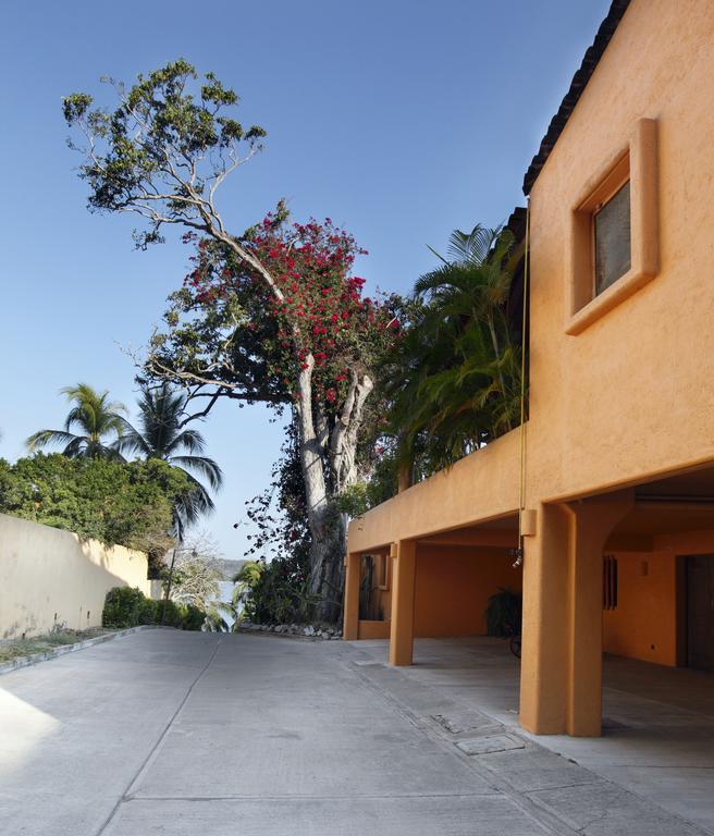 Hotel Casa Don Francisco Ixtapa  Kamer foto