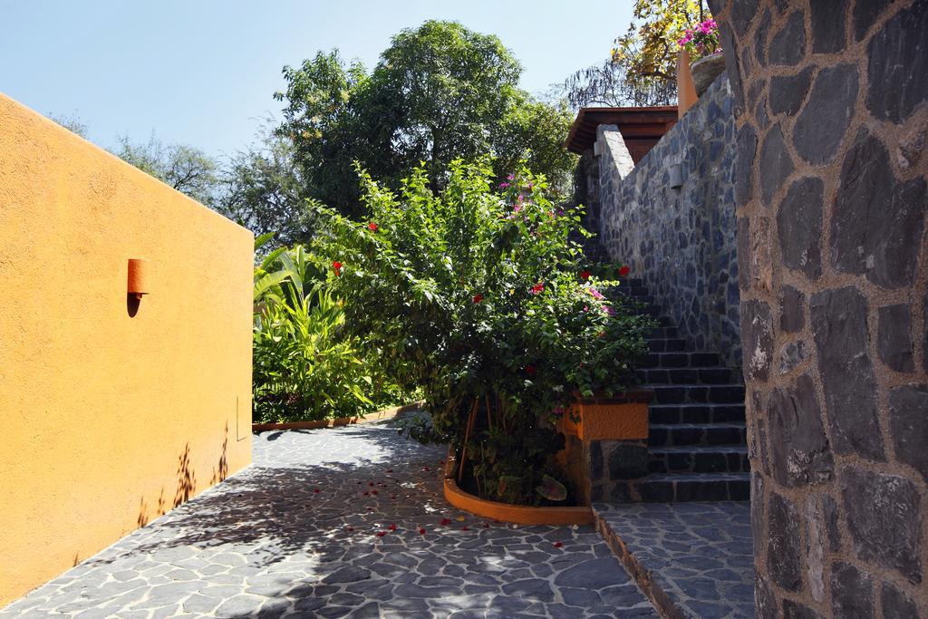 Hotel Casa Don Francisco Ixtapa  Buitenkant foto
